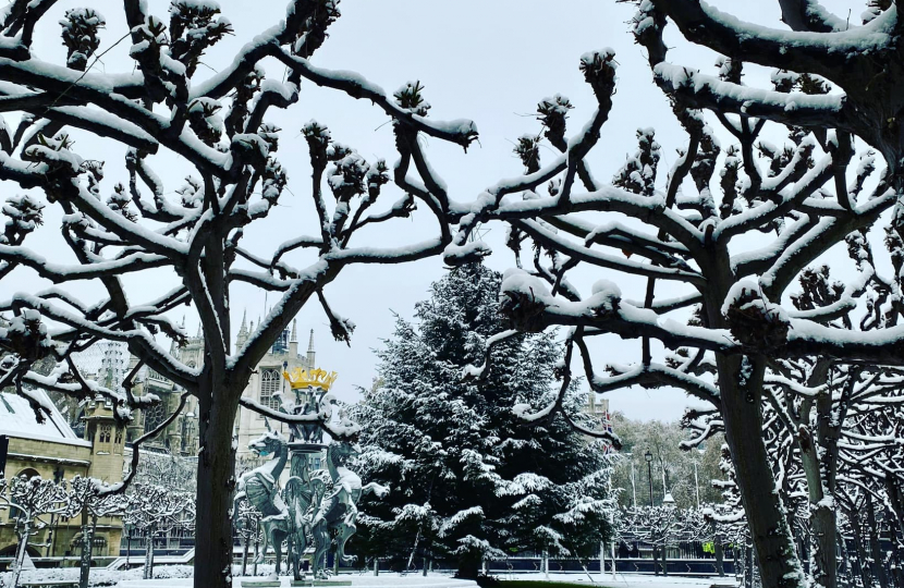 Simon Baynes MP Christmas Message - Snow Christmas Image